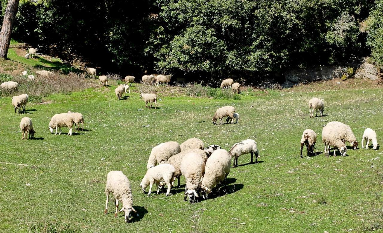 Cova Safaja Daire San Quírico Safaja Dış mekan fotoğraf